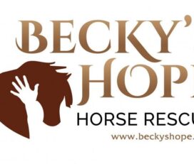 Becky’s Hope Horse Rescue